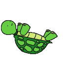 ndturtlespin Discord emoji
