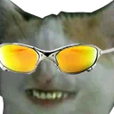 WhiteCatFunkeiro