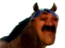 risicheval