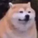 711727070203478026 711727070203478026