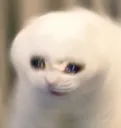 ahhH