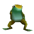aFrogDance