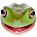 FrogSmile