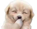 hihi Discord emoji