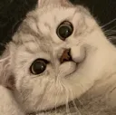 emoji_65 emoji_65