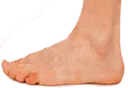 toes toes