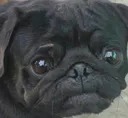 Sad