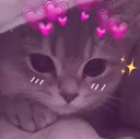 catfluffy