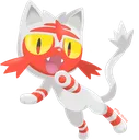 litten