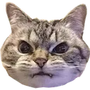 angery