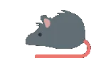 rattergy