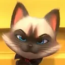 Cat Mad catmad Discord Emoji