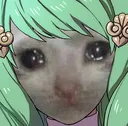 sadCatFlayn