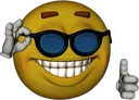 cool_sunglasses