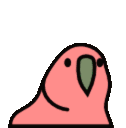 birb