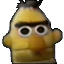 6347_bert_stare