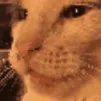 SCblepblink