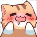 Cat Awe Discord Emoji