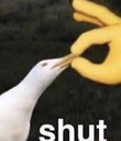 Shut Discord emoji