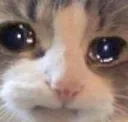 sad