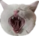 yawnnnn