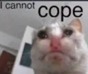 cant_cope