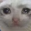 sadness sadness