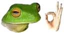 Froggo Froggo Discord Emoji
