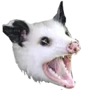 aaaaopossum