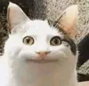 smile_cat