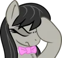 tavifacehoof tavifacehoof