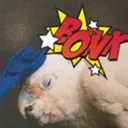 birbbonk
