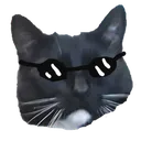 Coolcat