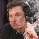 elon