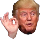 :oktrump: Discord Emote