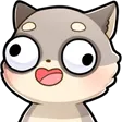 coonDERP coonDERP