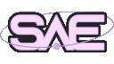 sae Discord emoji