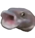 jumpingFish