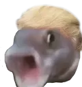 trumpFish