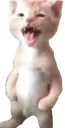 migger