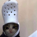 croccat Discord emoji