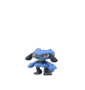 RioluBop RioluBop