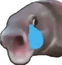 sadFish