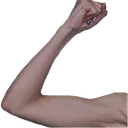 ShukaStrong1 ShukaStrong1
