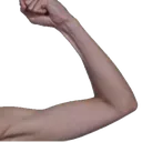ShukaStrong3 ShukaStrong3