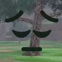 pensivetree