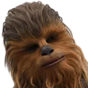 ChewieConfusion ChewieConfusion