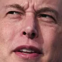 elonwtf