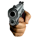 Gun