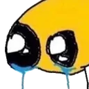 bro